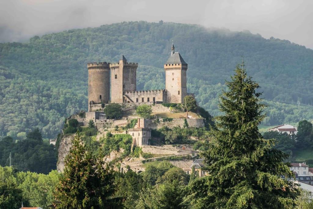 Maison 6 Places, En Plein Coeur De L'Ariege, Proche Ski Et Nature Lesparrou Extérieur photo
