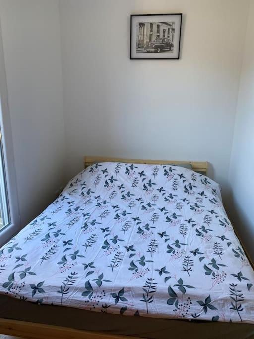 Maison 6 Places, En Plein Coeur De L'Ariege, Proche Ski Et Nature Lesparrou Extérieur photo